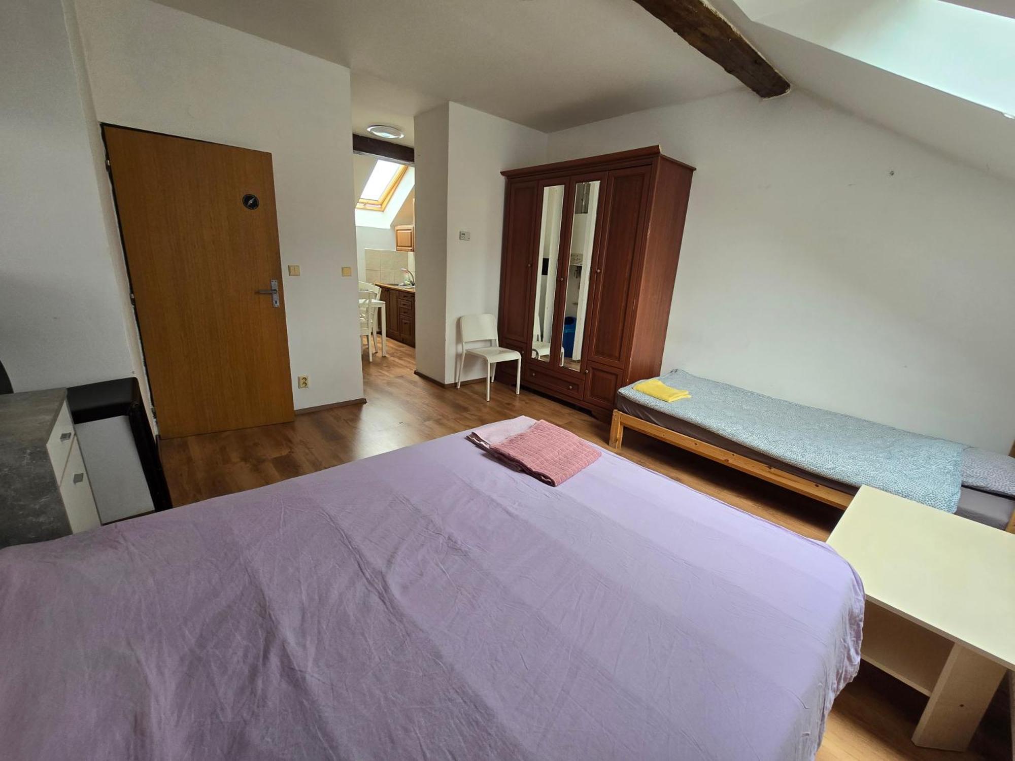 Apartment Zizkov A Prague